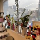 사라나디자인 이미지