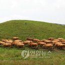 초원인력 - 서구 통학로15길 21 | 초원인력