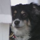 (주)루루 이미지