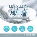 크린아트세탁 이미지