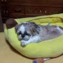 우리집닭강정 이미지