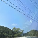 팔봉산메밀촌막국수 | [강원도/홍천맛집] 막국수는 무조건 팔봉산메밀촌막국수 내돈내산 후기