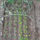 유한회사 서진 이미지