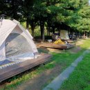 서울숲7 이미지