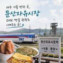 문산중앙유치원 | 파주 가볼만한 곳, DMZ 땅굴 관광도 시켜주는 문산자유시장 후기