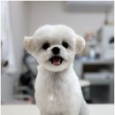 베베멍