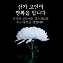 (주)라이프응급환자이송 네이버블로그