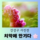 치악산작은도서관 | [전시] 강성구 작가 사진전 &#34;치악에 안기다&#34; 방문 후기