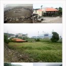 제주 올레길 9코스 이미지