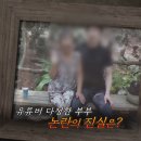 다정다방 이미지