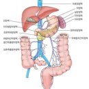 기억(ㄱ)