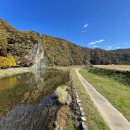 산수휴양림 자연의소리 이미지