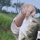 청도천7 네이버블로그