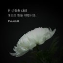 에이바헤어 이미지