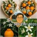 종철농장 이미지