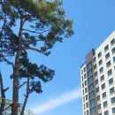 중앙동118 이미지