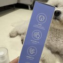 베베시오 이미지