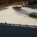 일출목장 이미지