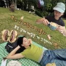 야코리아 게스트하우스 | 호주 워홀 2개월차 - 요즘 깨닫는 것들