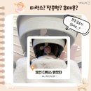 에이원오토 | (육아템 선물받기) 에이원베이비 뉴나 믹스넥스트 디럭스 유모차 트래블 휴대용 유모차 사용 후기