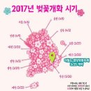 우리나라 아름다운 벚꽃관광지 이미지