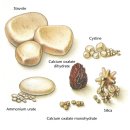 닥터정 동물병원 이미지