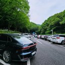 서울대공원 캠핑장 이미지