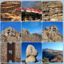 순천-74호 네이버블로그