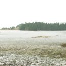 들레목장 이미지