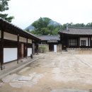 보호수광장 이미지