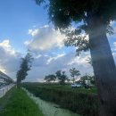 삼락생태공원 이미지