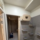 봄동살롱 이미지