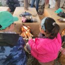 월학초등학교 이미지