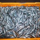 반구정어부집 이미지