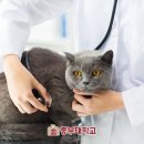 초봉농장 이미지