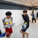 성호미트 이미지