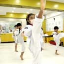 대망(태권도) 이미지