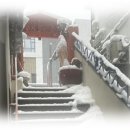 에스 행정사 사무소 이미지