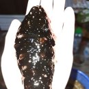 써니의 펜션 스토리 이미지