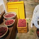 문경도자기박물관 이미지