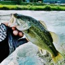 왕숙천 자전거도로6 이미지