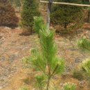 한길농원 이미지