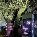 작천정5(잔디광장) 이미지