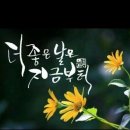 인셀덤평촌샵