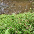 장수천공원 이미지