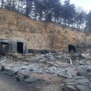 박종애농장 이미지