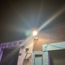 양키스 버거 이미지