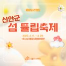 2025 섬 튤립축제 이미지