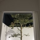 백마편의점 | 제주도에서 생긴 일 🍊 ✈️