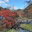 어일1리 이미지